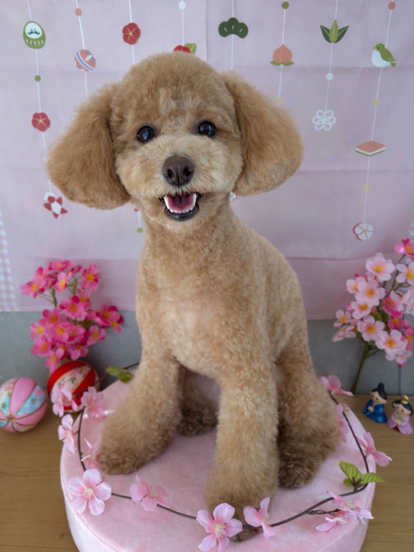 【プクくん】