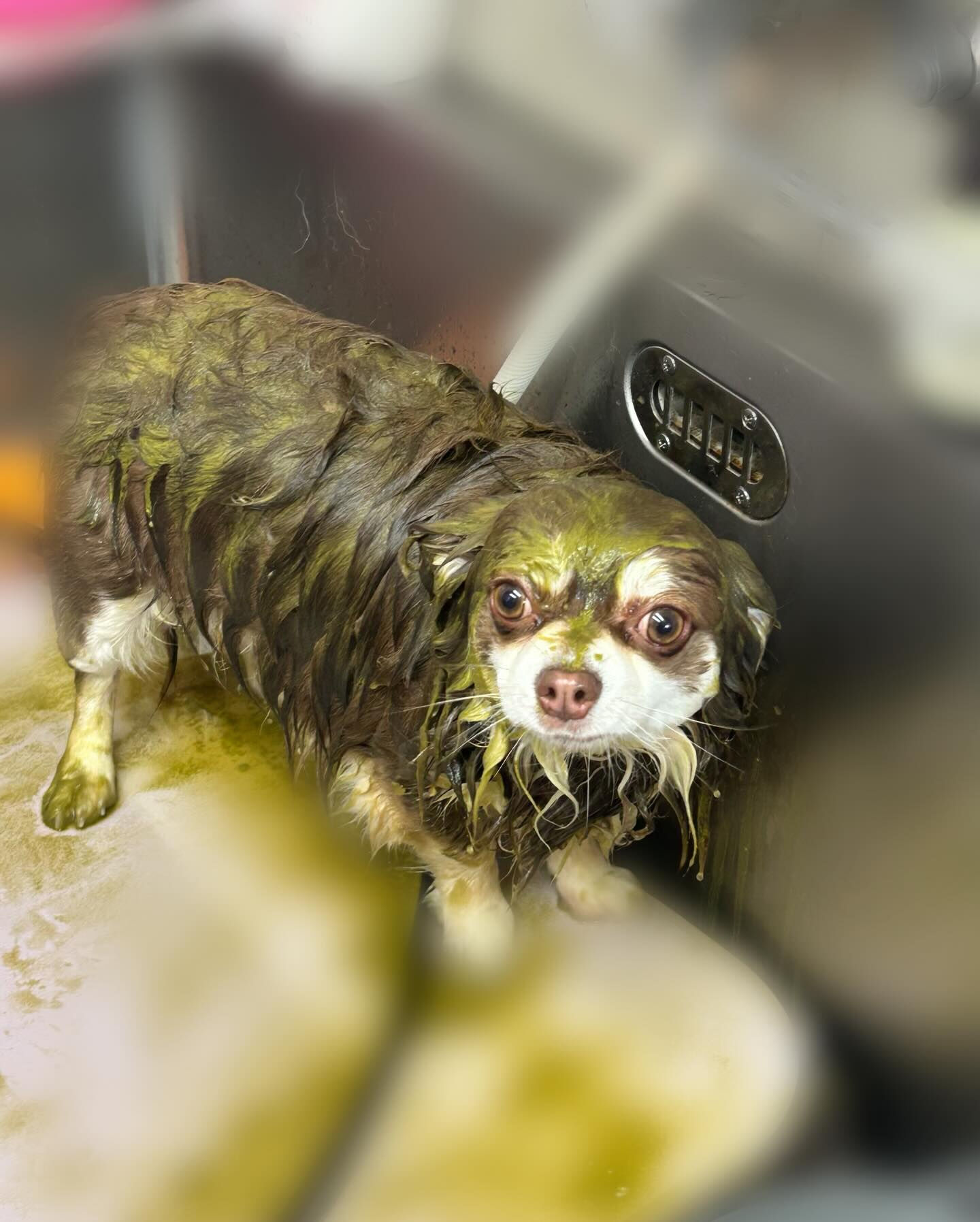 【コウくん】