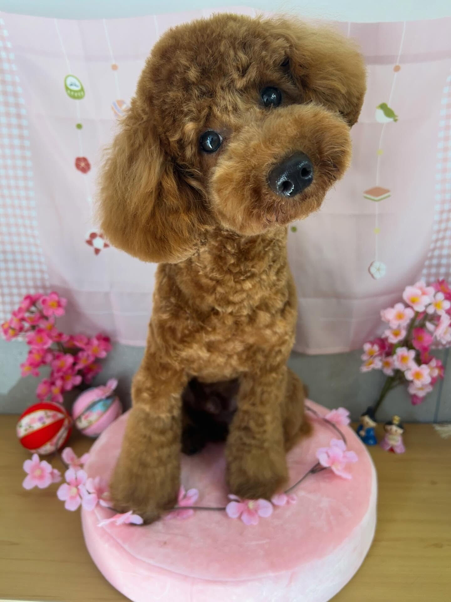 【ナツくん】