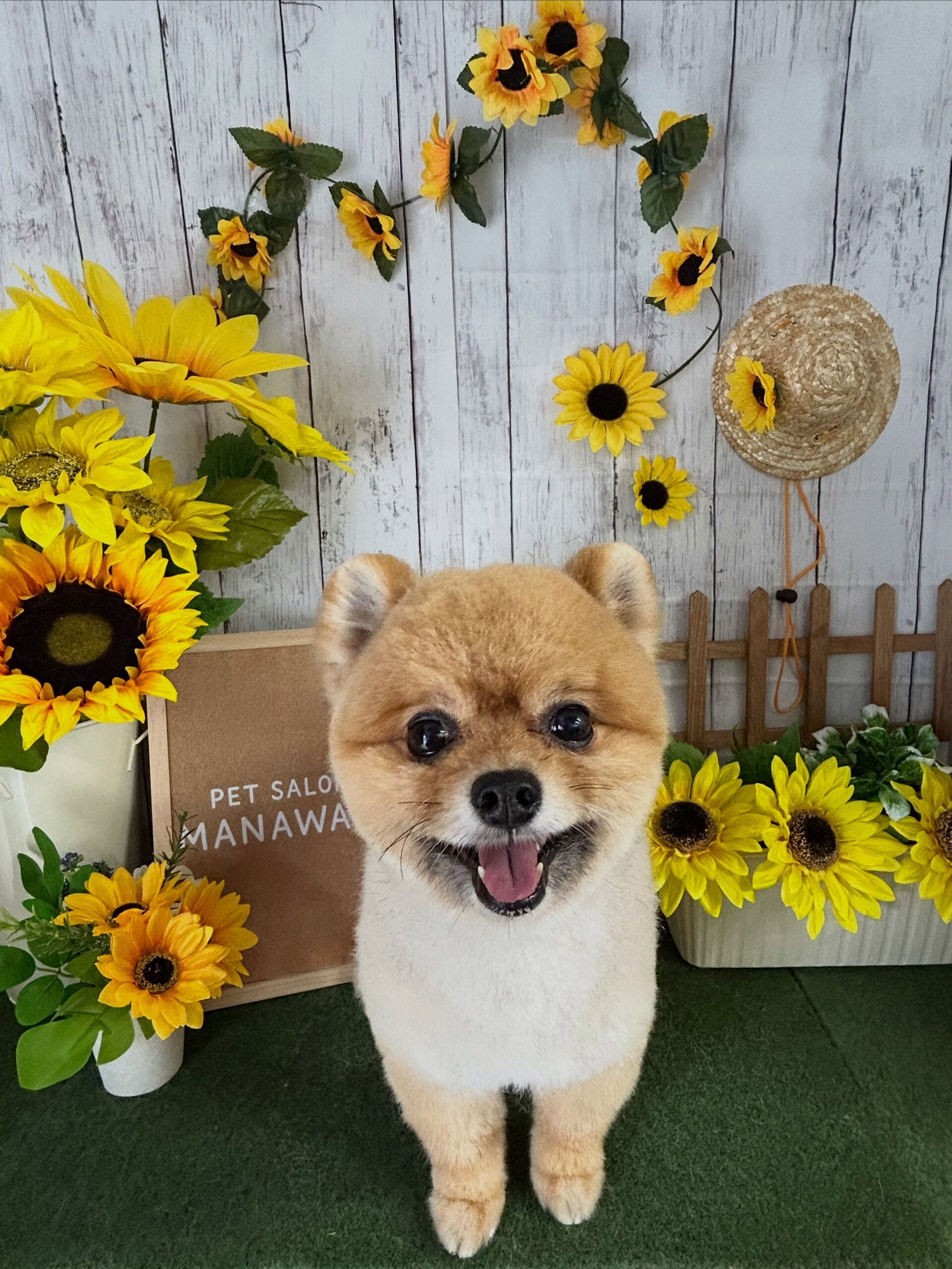 【リリーちゃん】