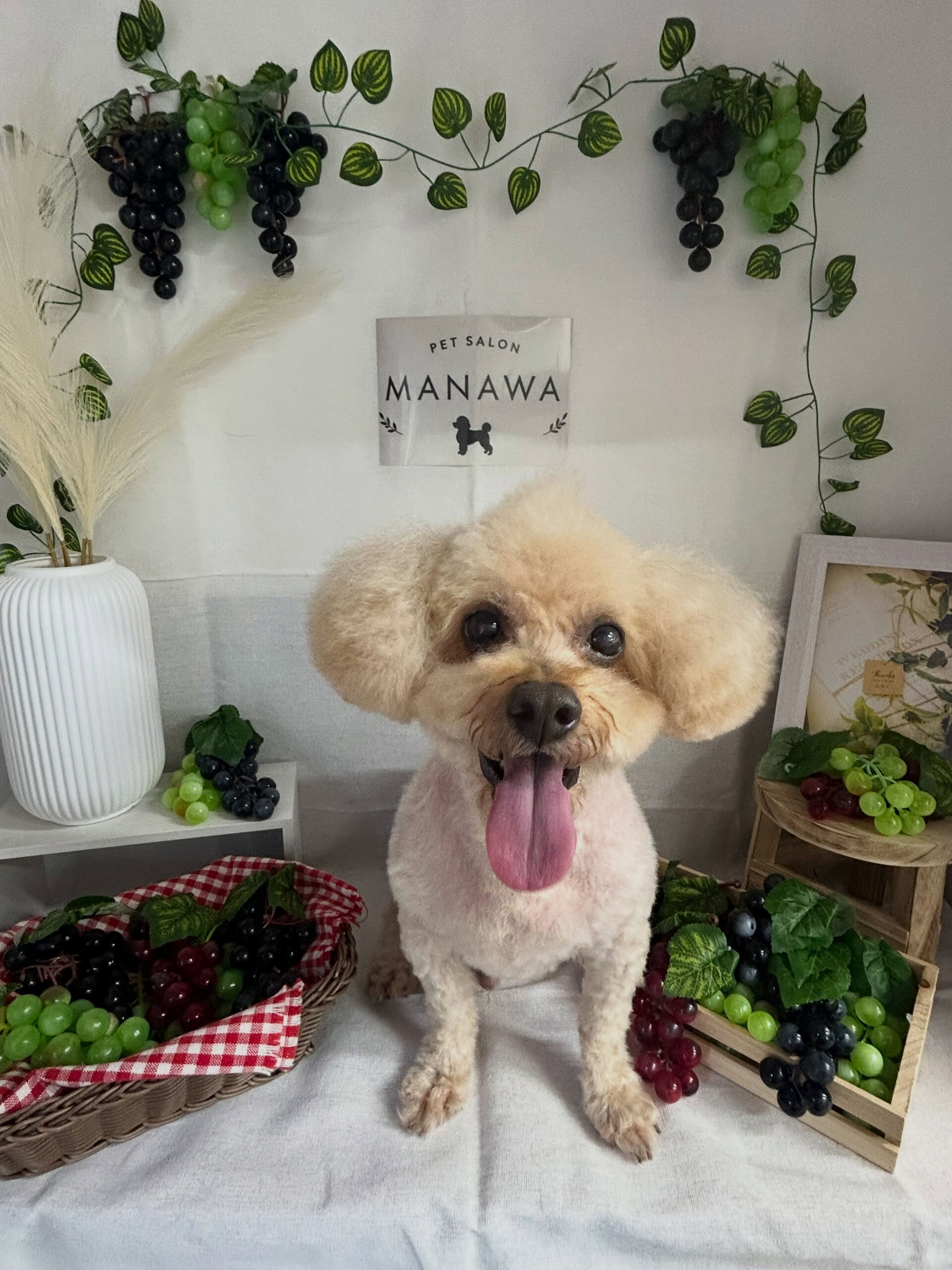 【ラルフくん】⁡