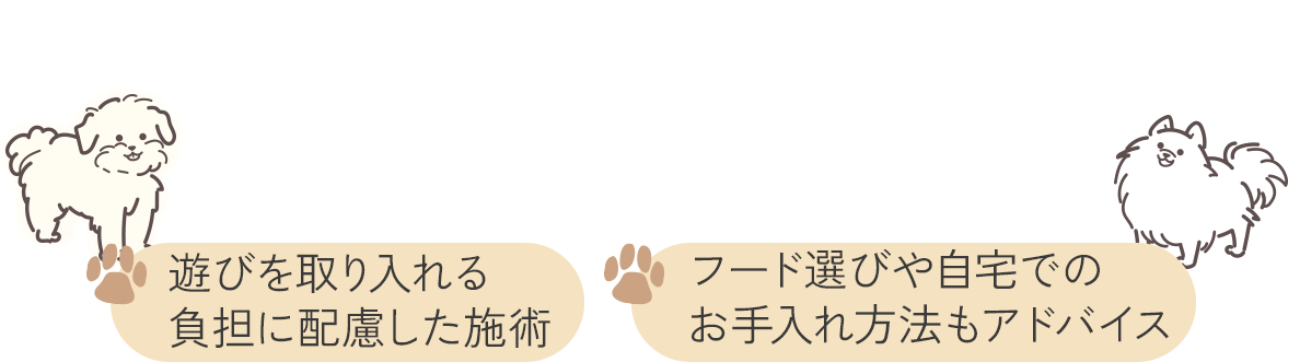 愛犬も飼い主様もリラックスできる癒しのサロン空間