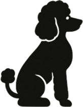 20260227_aun11_1