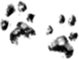 20260227_aun11_2